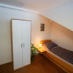 Pivonka