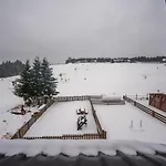 Pivonka *
