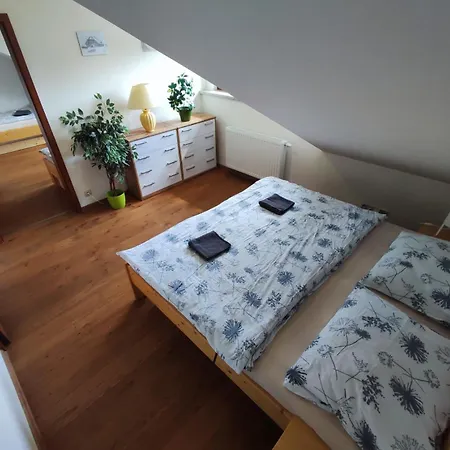 Pivoňka Kvilda