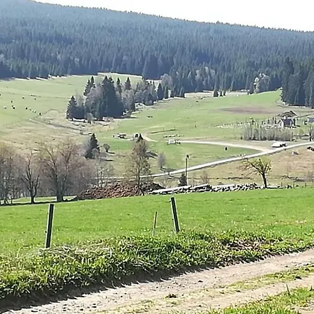 Pivoňka *